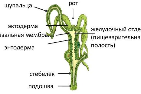 Kraken актуальные ссылки официальный сайт